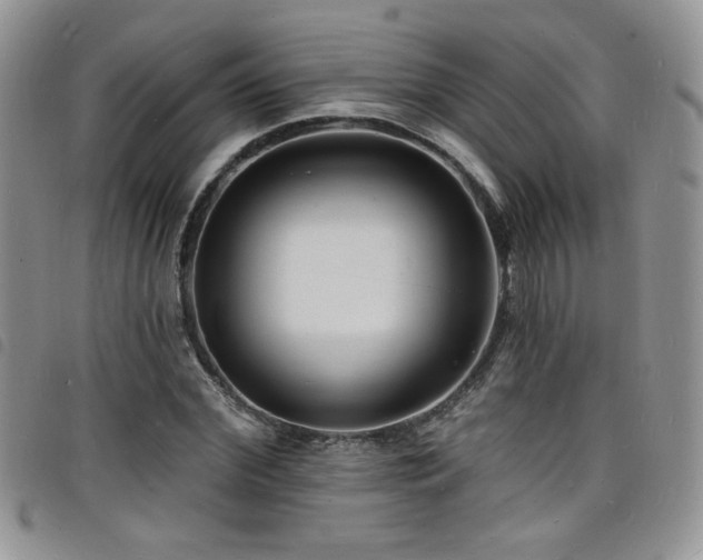 X0000098200972200804241249