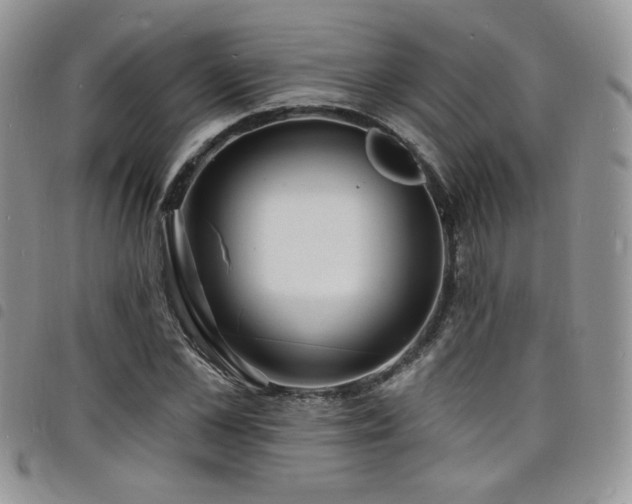X0000098200973200804241249