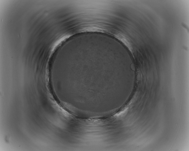 X0000098200979200804241249