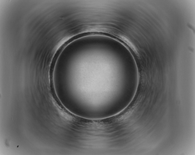 X0000098200980200804241249