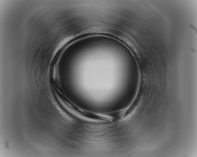 X0000098200981200804241249