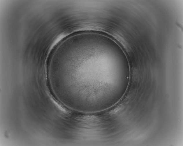 X0000098200982200804241249