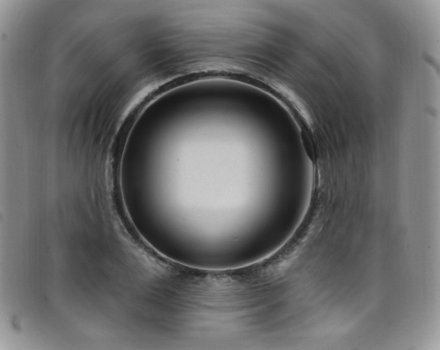 X0000098200983200804241248