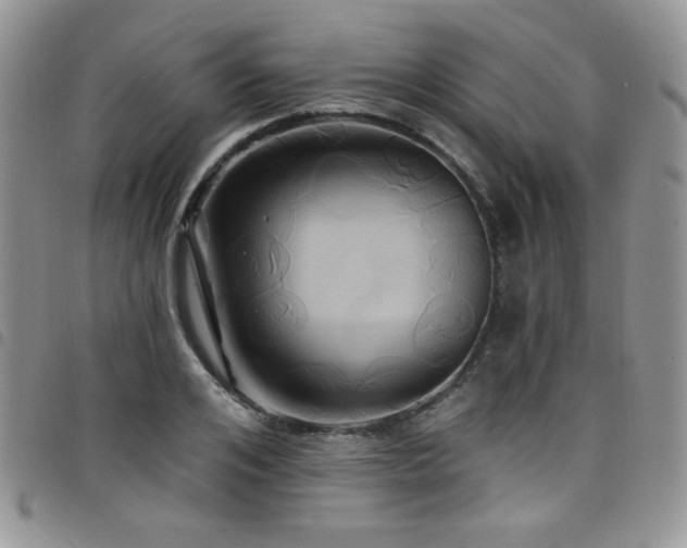 X0000098200984200804241248