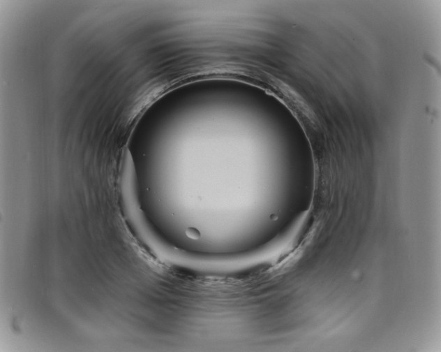 X0000098200985200804241248