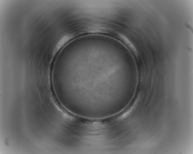 X0000098200986200804241248