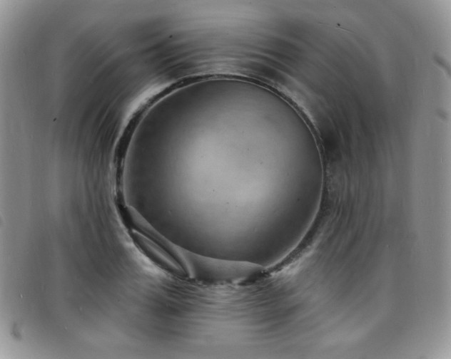 X0000098200987200804241248