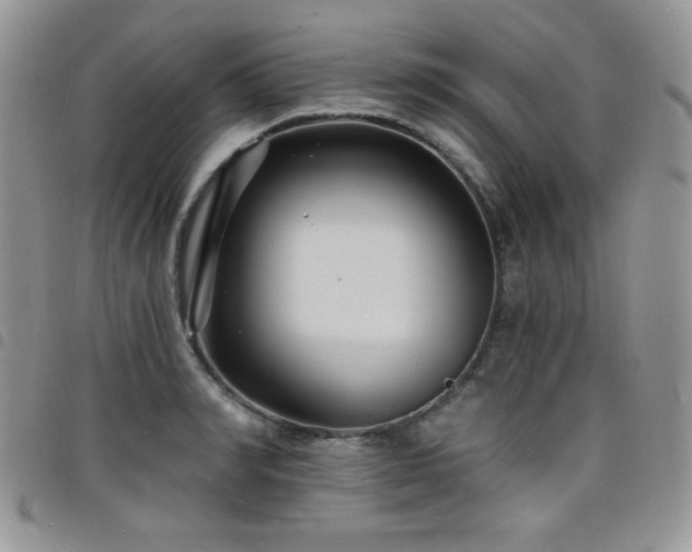 X0000098200990200804241248