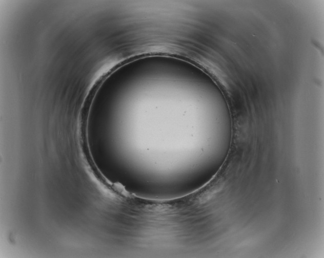 X0000098200991200804241248