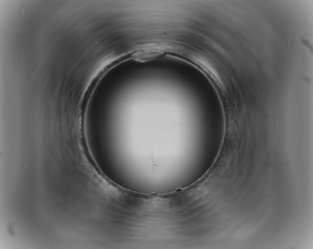 X0000098200992200804241248