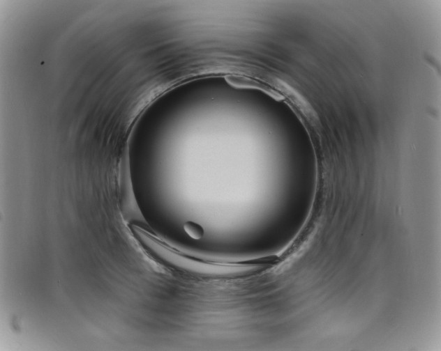 X0000098200993200804241248