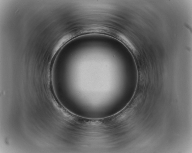 X0000098200994200804241248