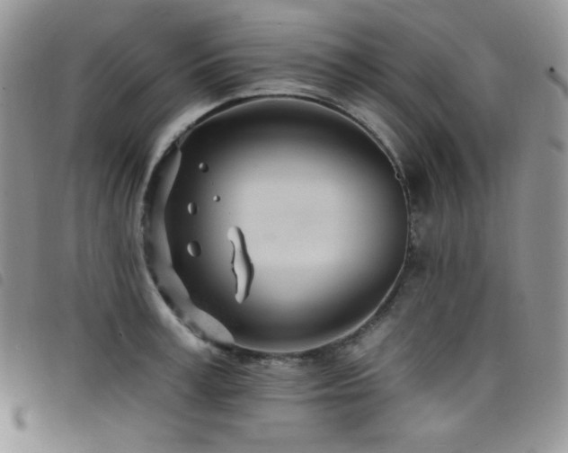 X0000098200995200804241248