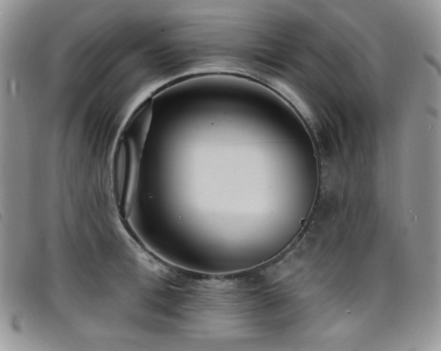 X0000098200996200804241248