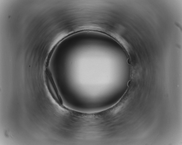 X0000098200999200804241248