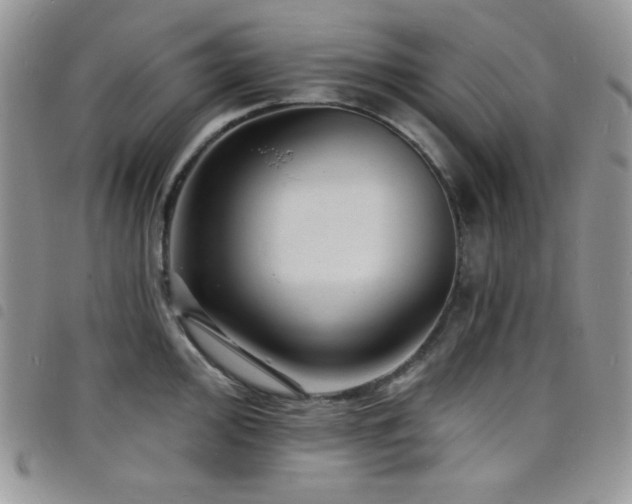 X0000098201000200804241248