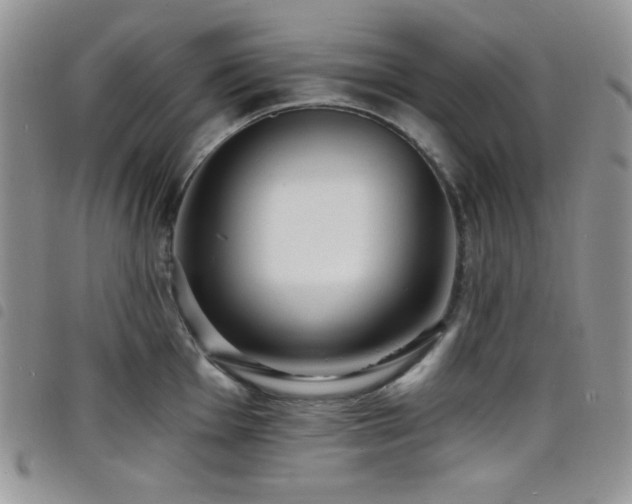 X0000098201001200804241248