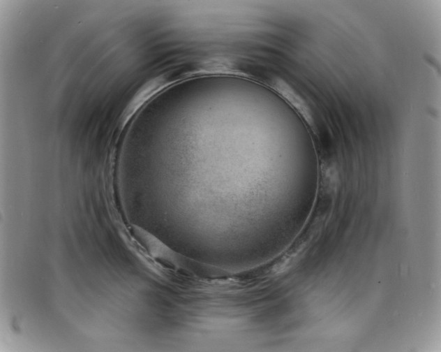 X0000098201002200804241248