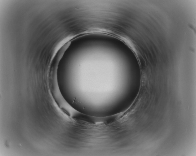 X0000098201003200804241248