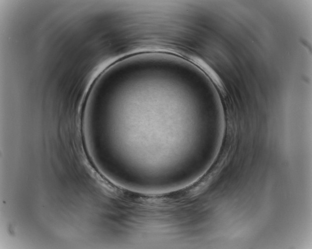 X0000098201004200804241248