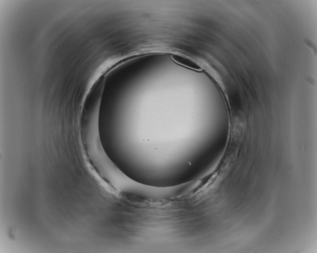 X0000098201005200804241248