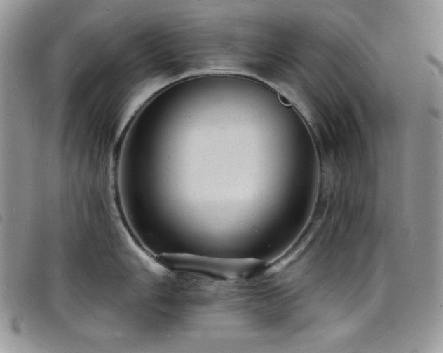 X0000098201006200804241248