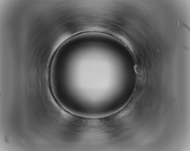 X0000098201007200804241248