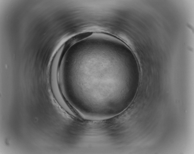 X0000098201008200804241248