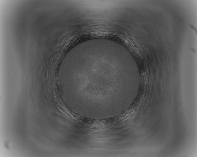 X0000098201009200804241247