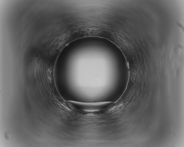 X0000098201010200804241247