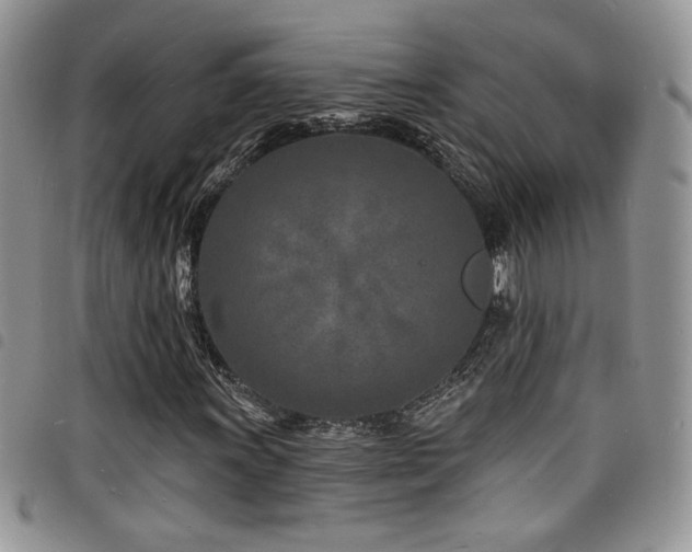 X0000098201011200804241247