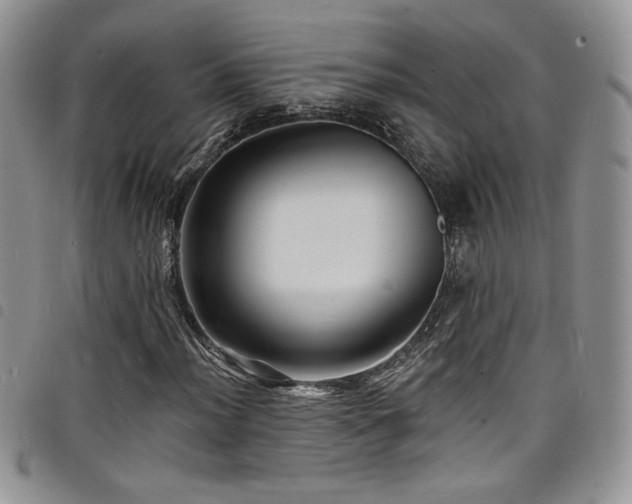 X0000098201012200804241247
