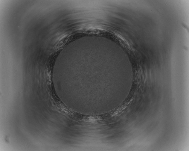 X0000098201013200804241247