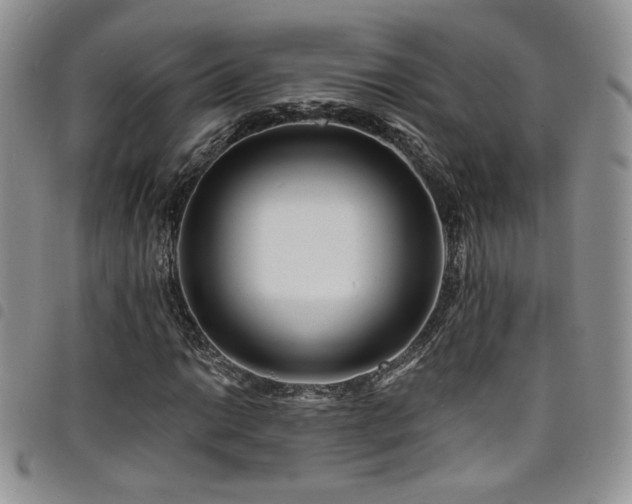 X0000098201014200804241247
