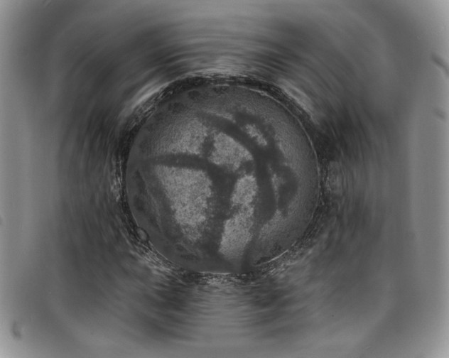 X0000098201015200804241248