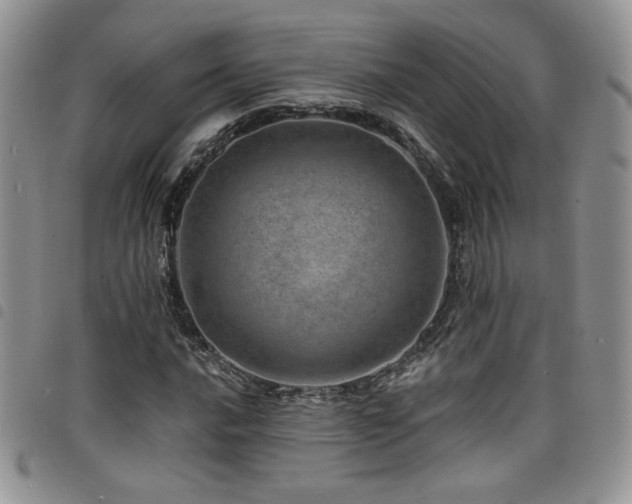 X0000098201016200804241248