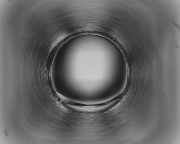 X0000098201018200804241248