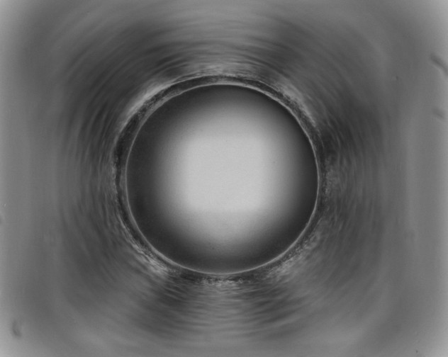X0000098201019200804241248