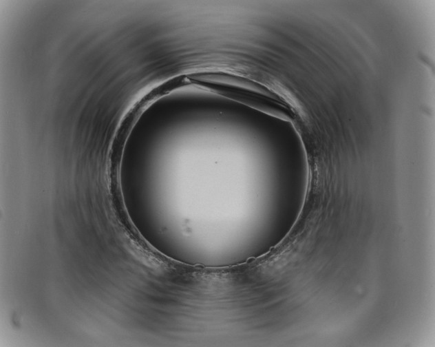 X0000098201020200804241248