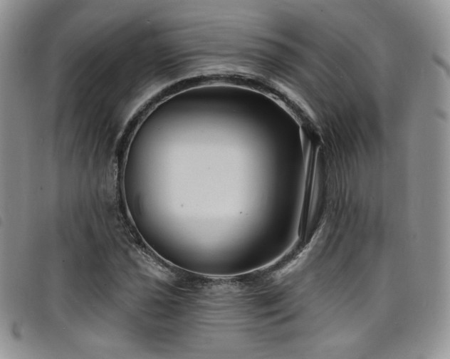 X0000098201021200804241248