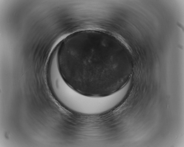 X0000098201024200804241248