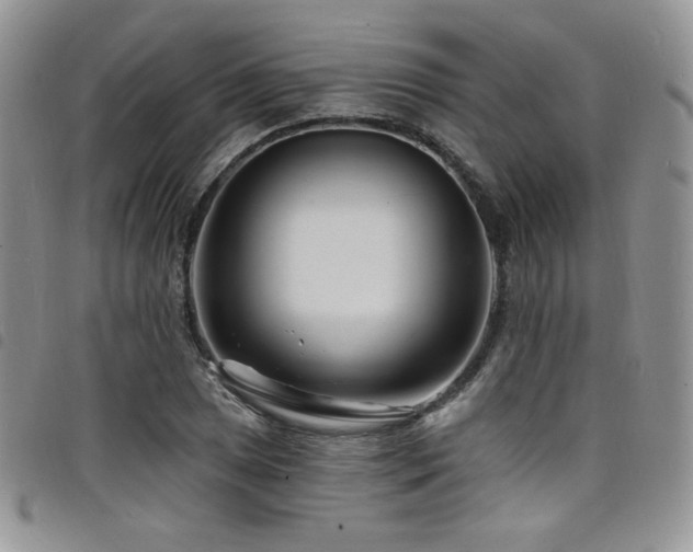 X0000098201025200804241248