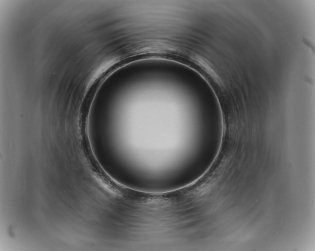 X0000098201026200804241248