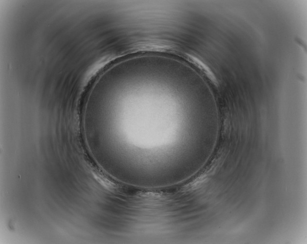 X0000098201027200804241248