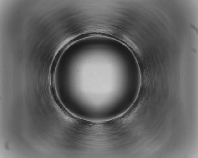 X0000098201028200804241248