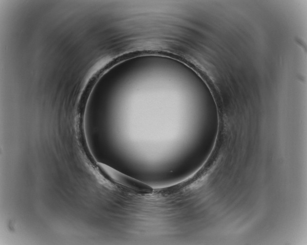 X0000098201029200804241248