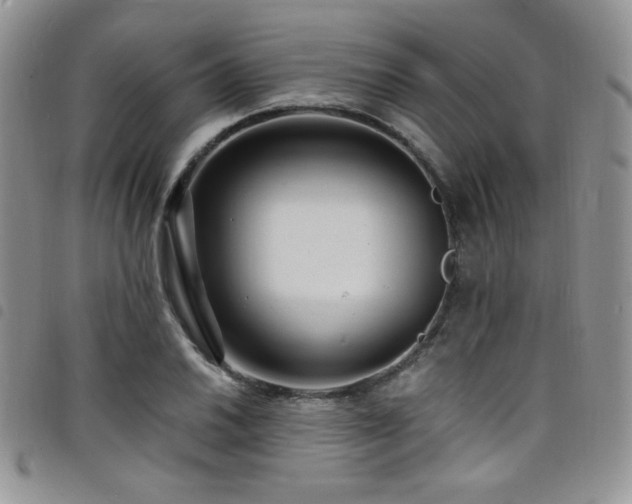 X0000098201030200804241248