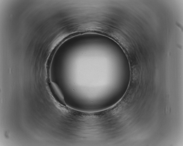 X0000098201031200804241248