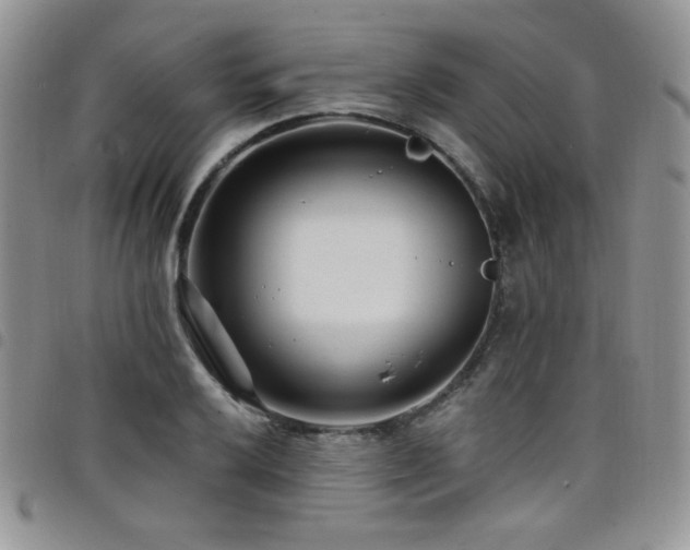 X0000098201032200804241248