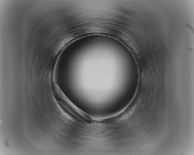 X0000098201033200804241248